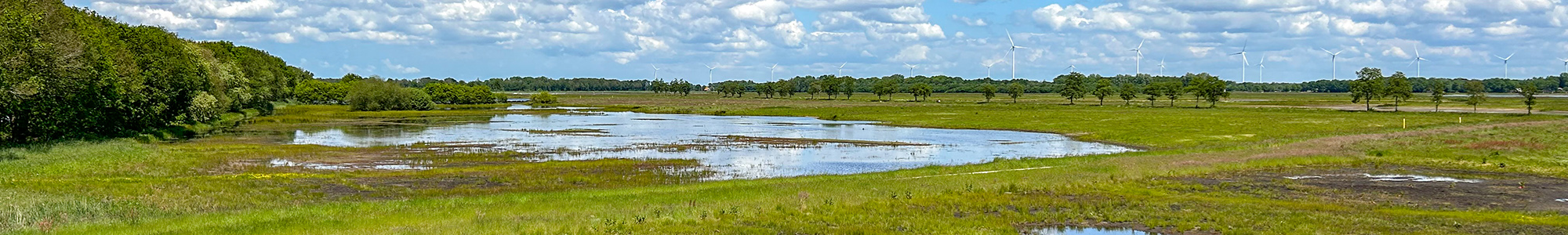 Home page image